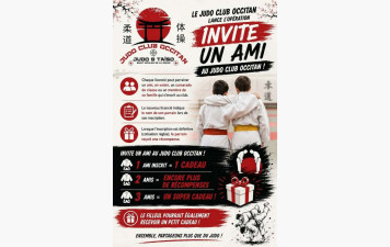 Et si votre meilleur partenaire de judo était... votre meilleur ami ?