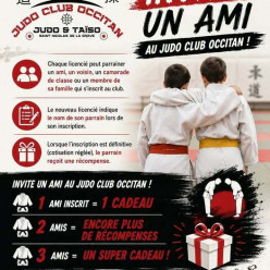 Et si votre meilleur partenaire de judo était... votre meilleur ami ?